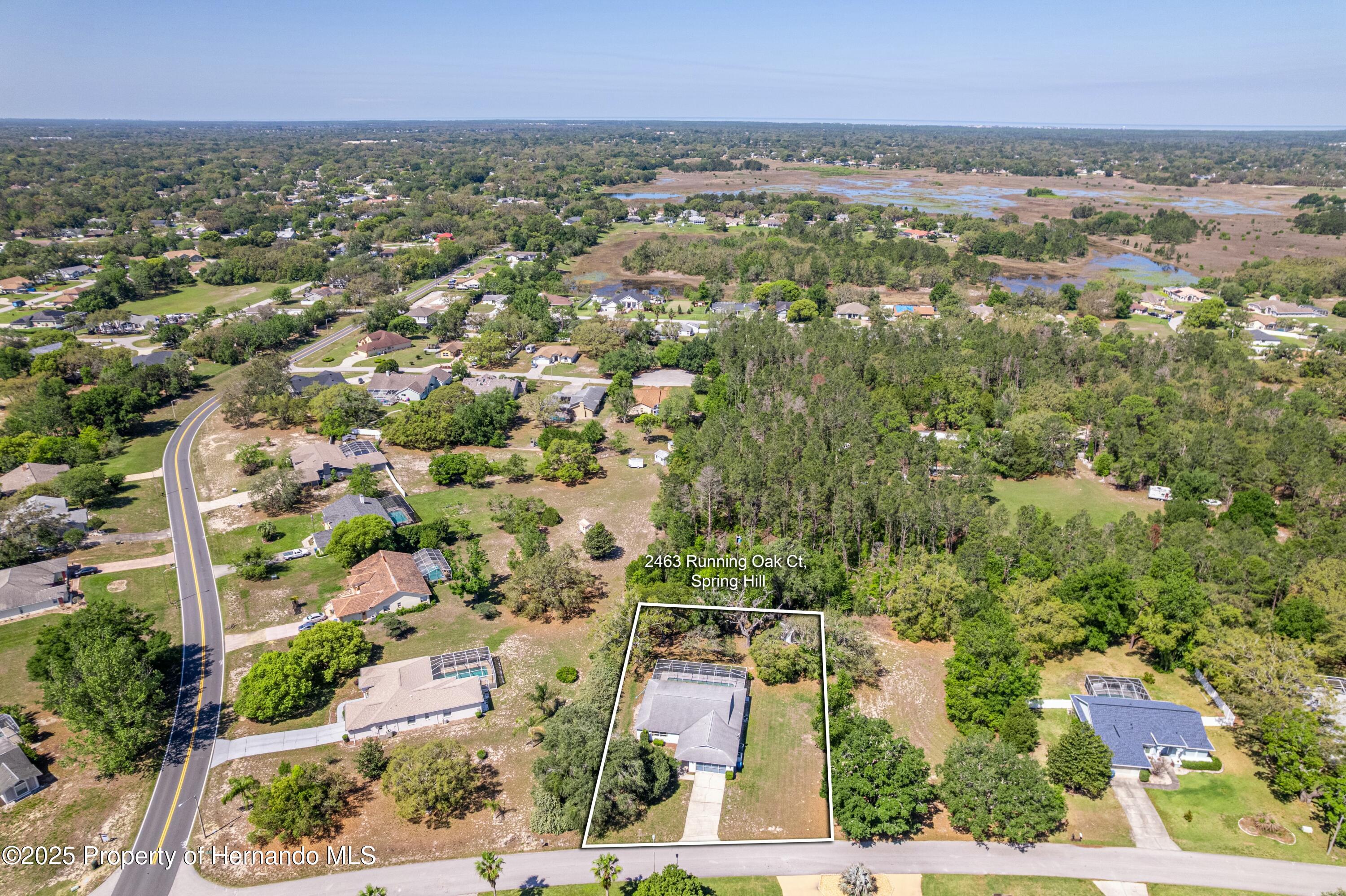 2463 Running Oak Court, Spring Hill, Florida image 6