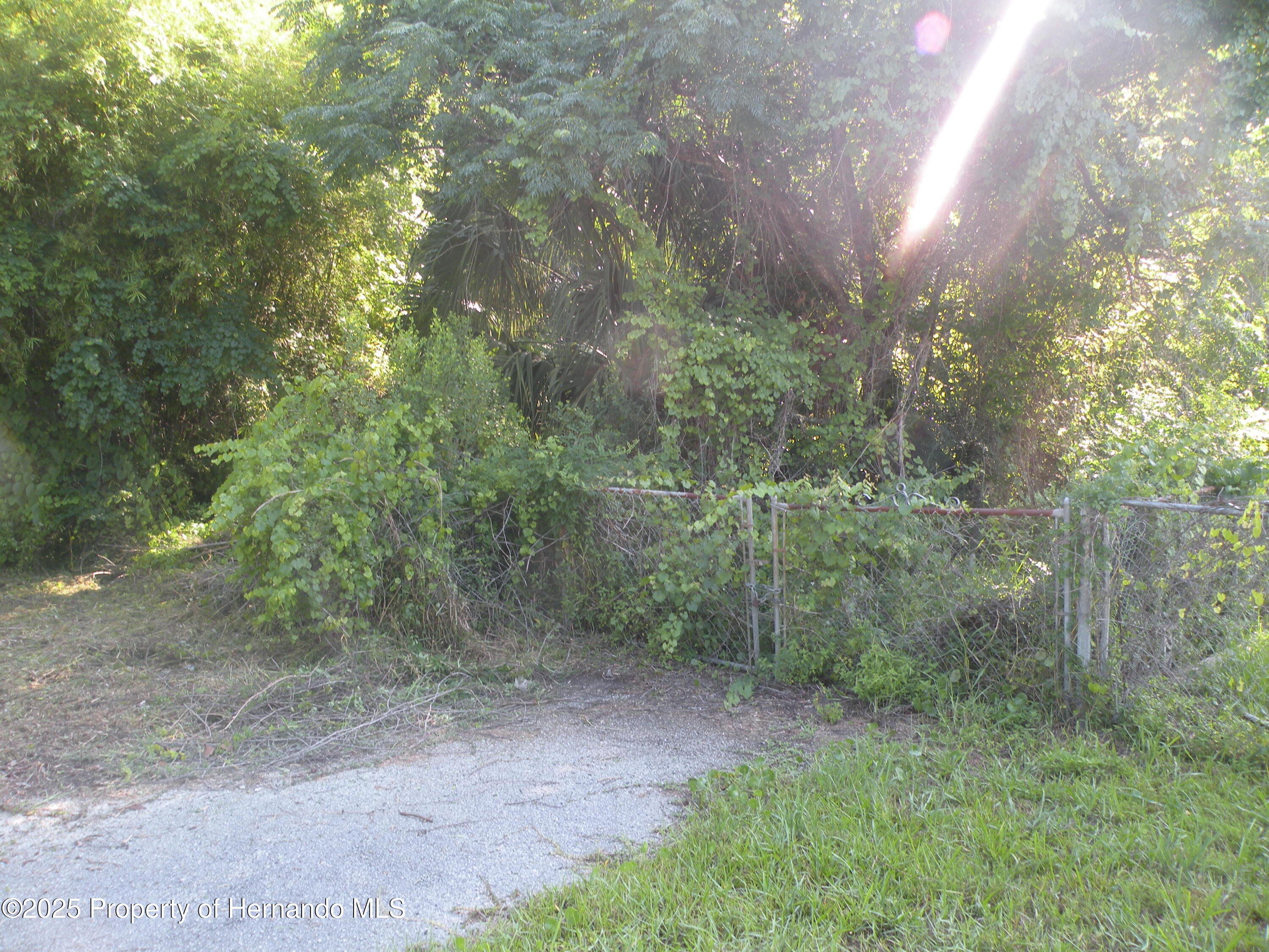 11540 Altoona Avenue, New Port Richey, Florida image 2