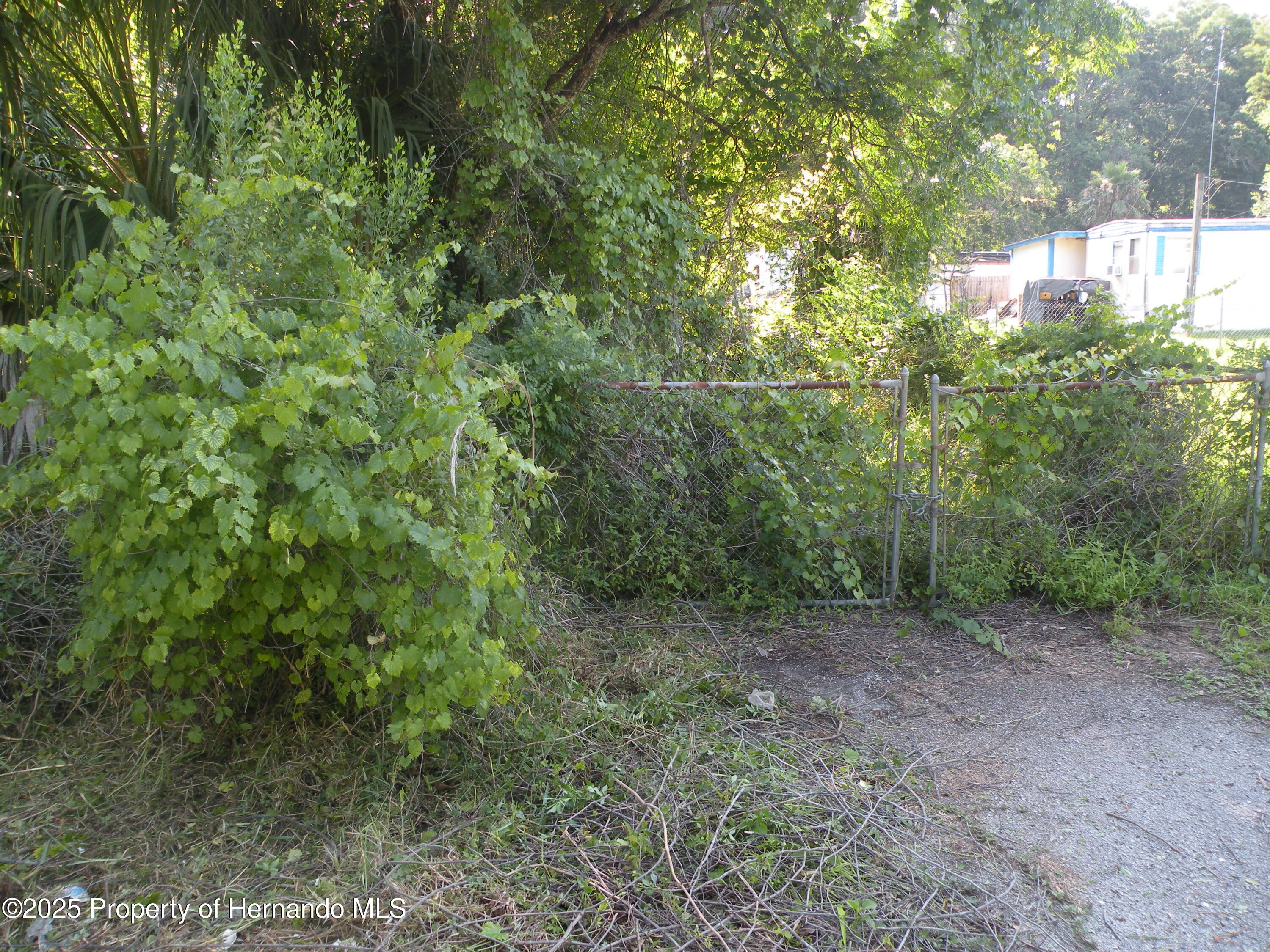 11540 Altoona Avenue, New Port Richey, Florida image 4