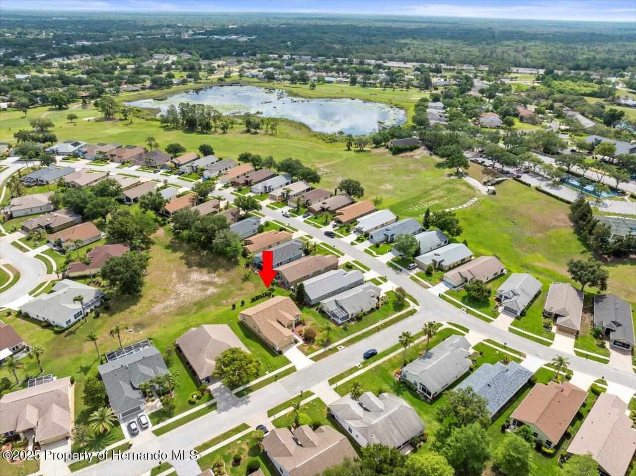 18514 Hidden Pines Way, Hudson, Florida image 50