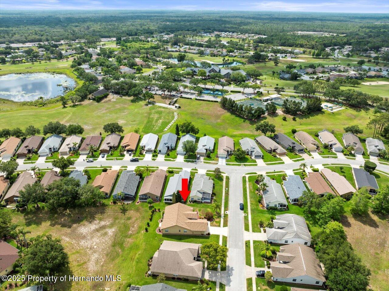 18514 Hidden Pines Way, Hudson, Florida image 49