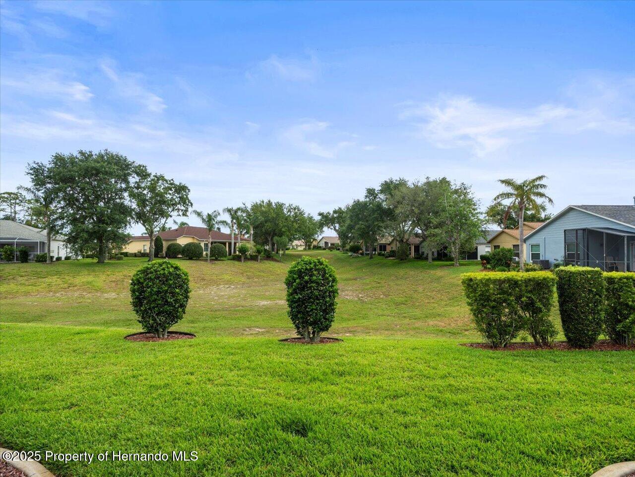 18514 Hidden Pines Way, Hudson, Florida image 42