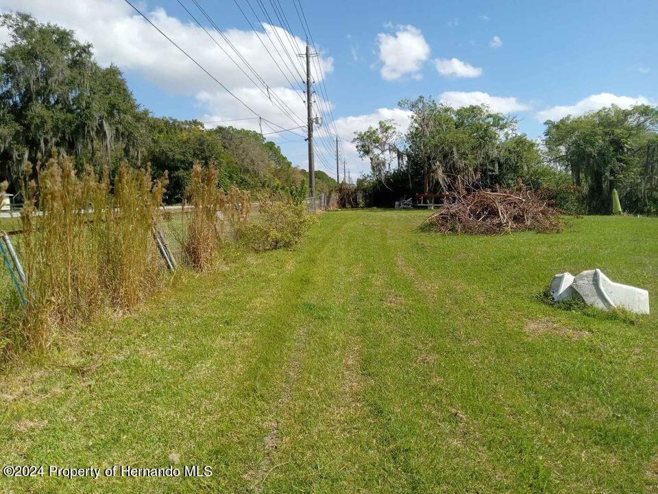 Hwy 542, Lakeland, Florida image 5