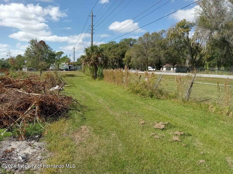 Hwy 542, Lakeland, Florida image 4