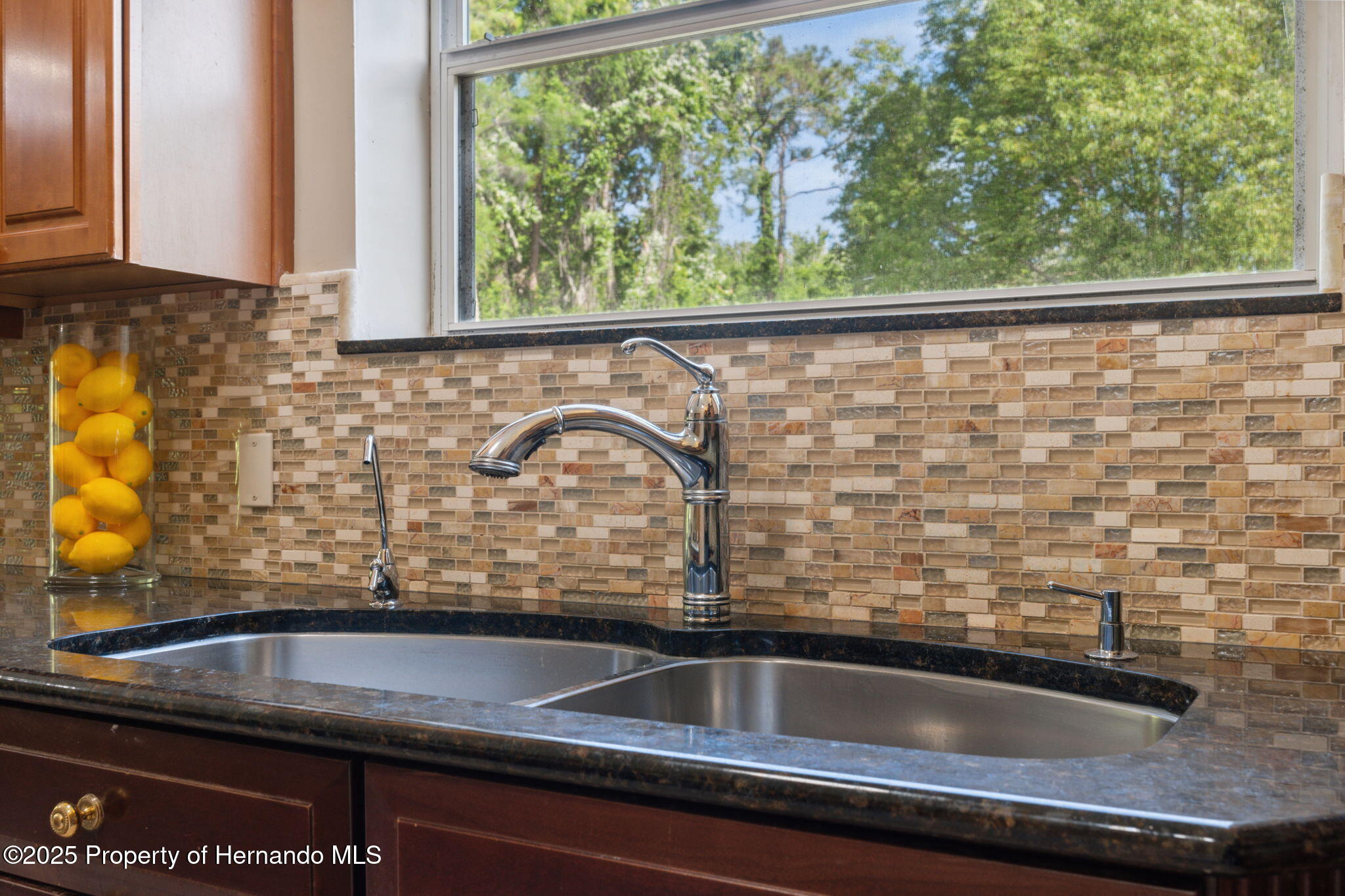 4469 Lake In The Woods Drive, Weeki Wachee, Florida image 23