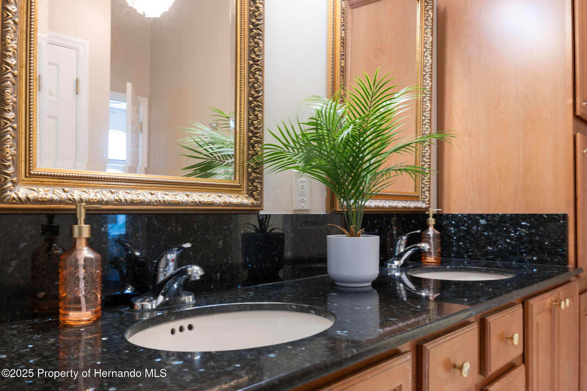 4469 Lake In The Woods Drive, Weeki Wachee, Florida image 35