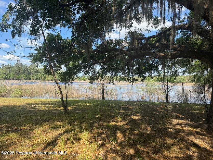 4979 Lakewood Drive, Ridge Manor, Florida image 4