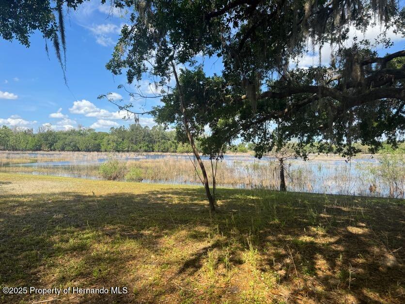 4979 Lakewood Drive, Ridge Manor, Florida image 3