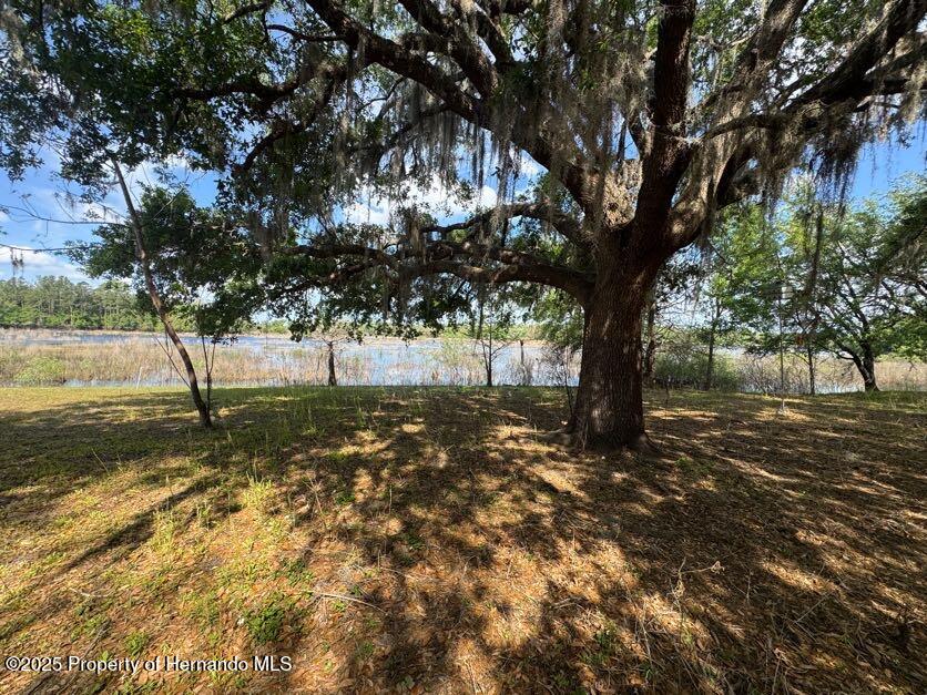 4979 Lakewood Drive, Ridge Manor, Florida image 5