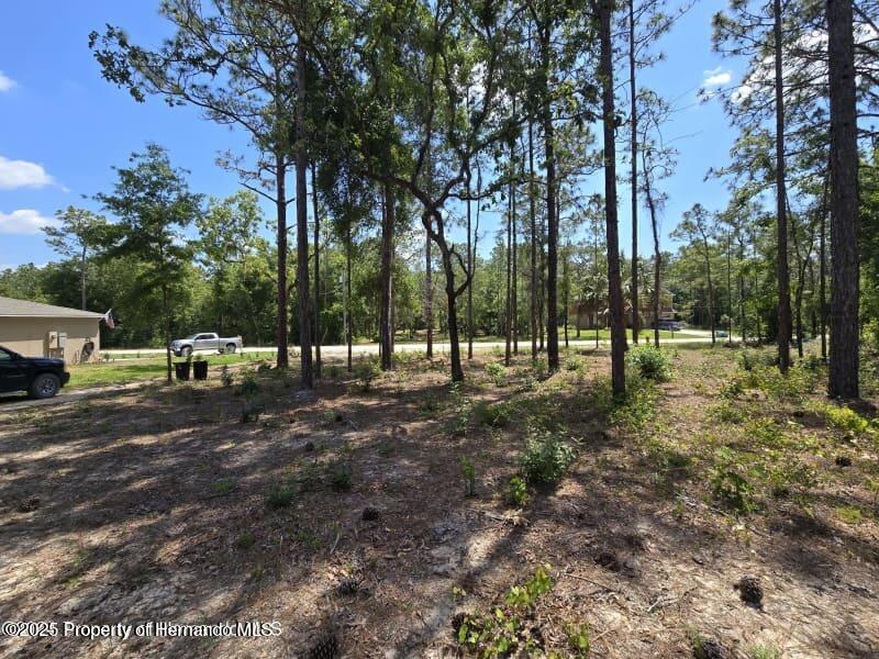 Catbird Road, Weeki Wachee, Florida image 2