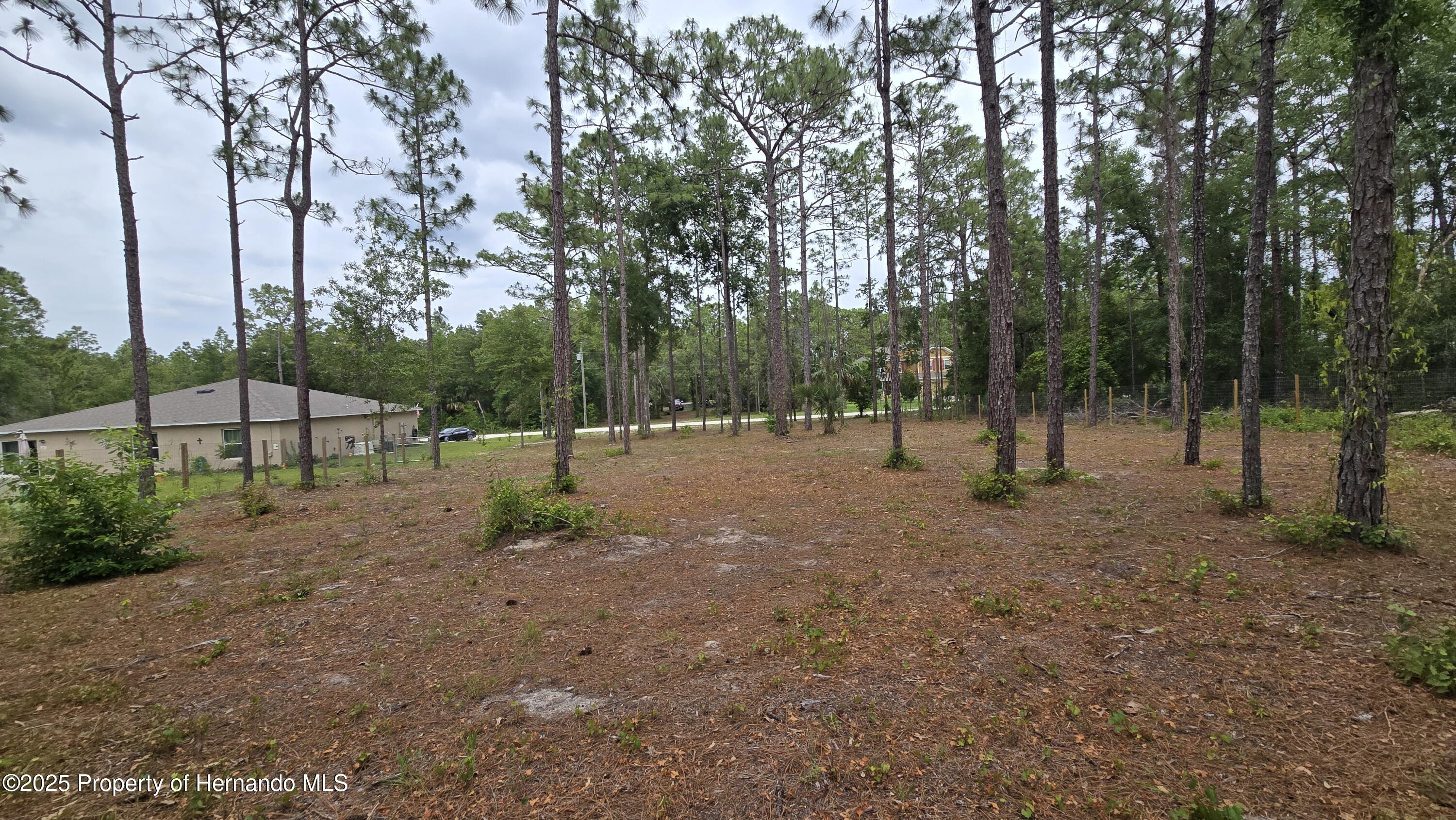 Catbird Road, Weeki Wachee, Florida image 6