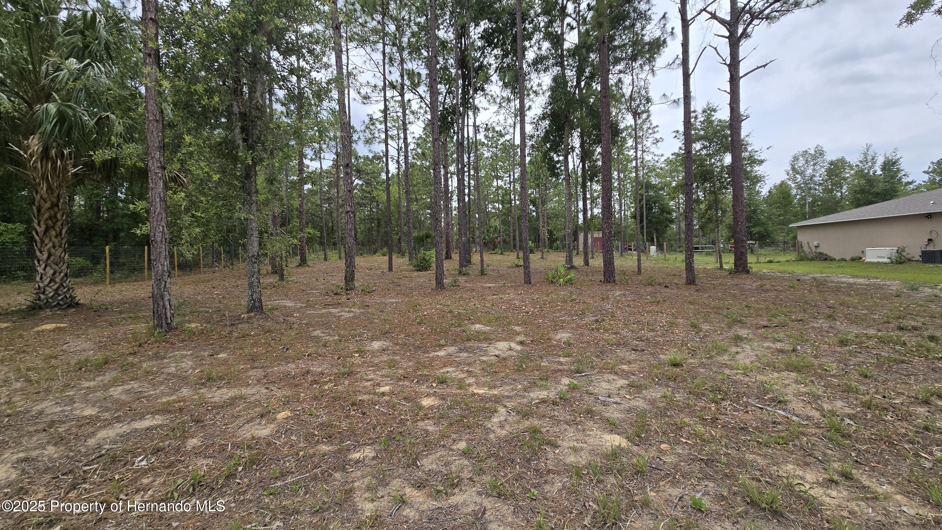 Catbird Road, Weeki Wachee, Florida image 5