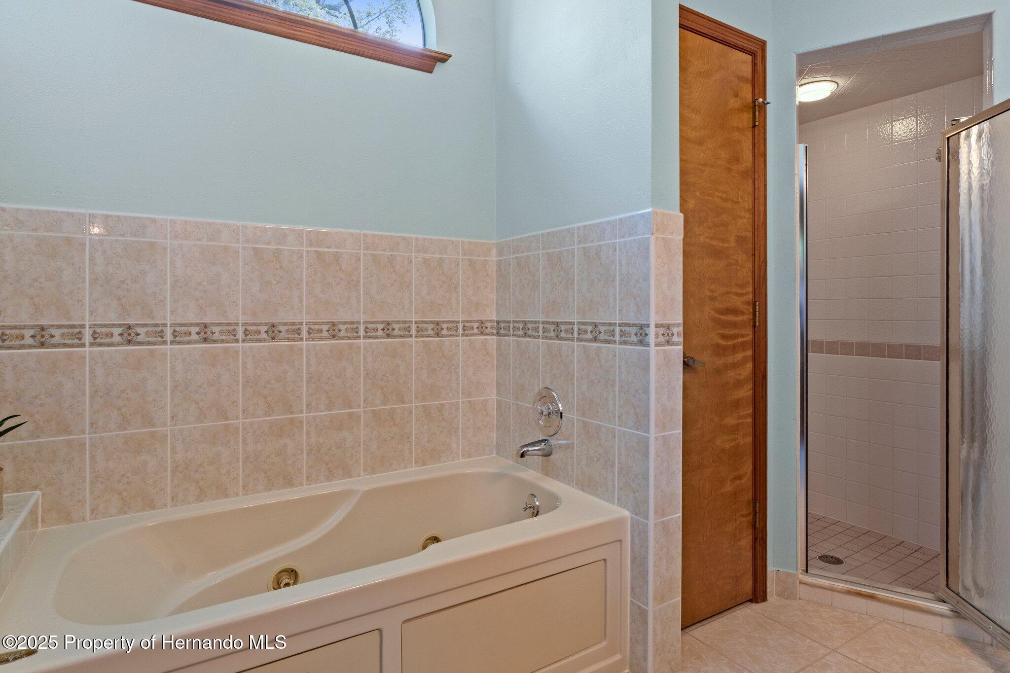 8402 Lake Hill Court, Spring Hill, Florida image 31