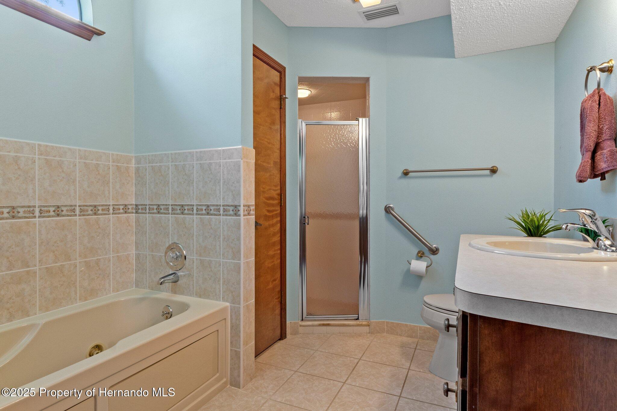 8402 Lake Hill Court, Spring Hill, Florida image 32