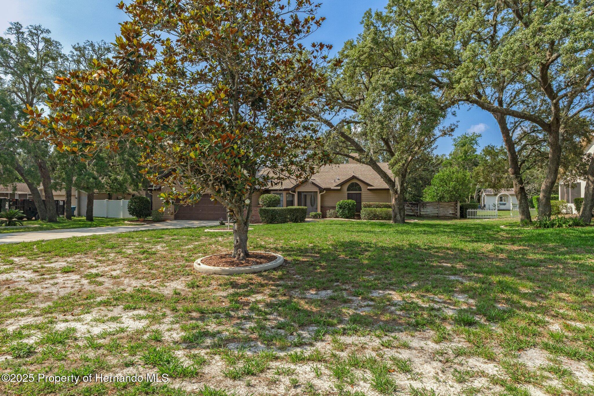 8402 Lake Hill Court, Spring Hill, Florida image 6
