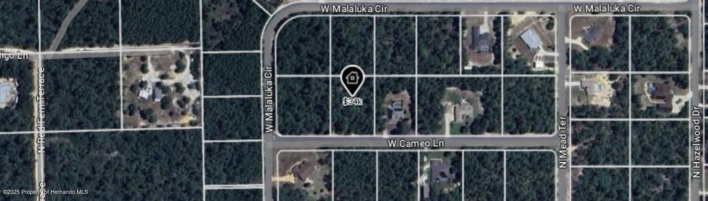 4393 W Cameo Lane, Citrus Springs, Florida image 2