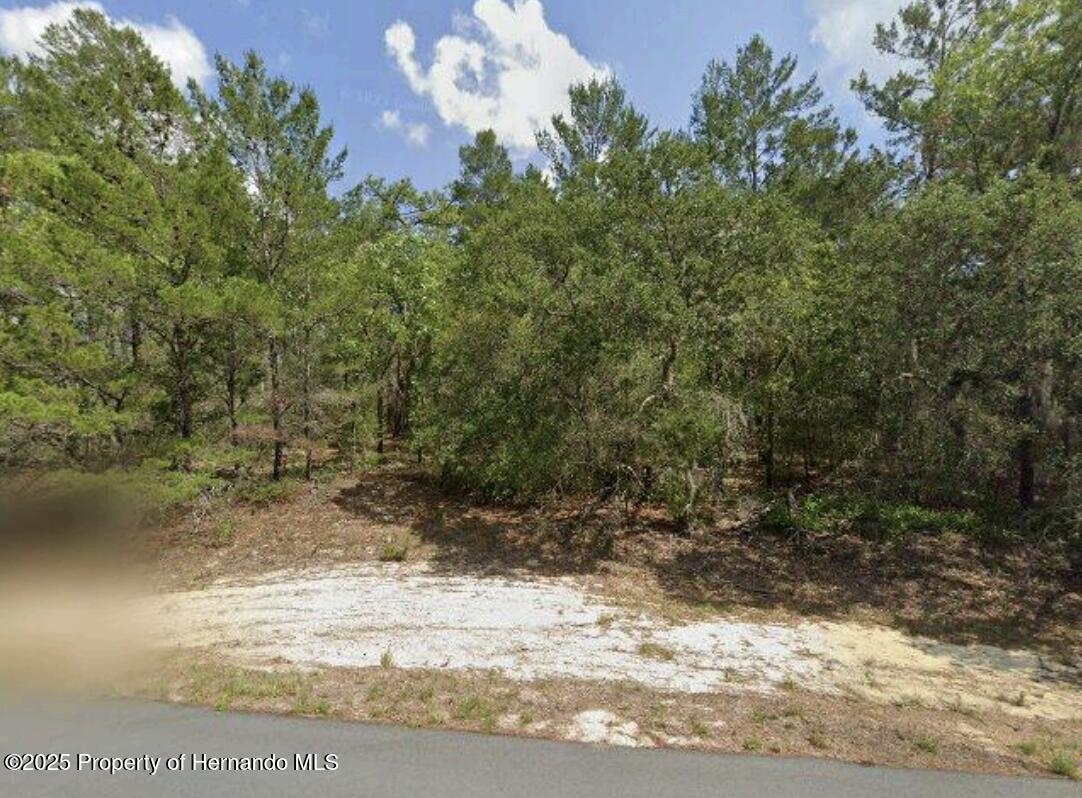 4393 W Cameo Lane, Citrus Springs, Florida image 1
