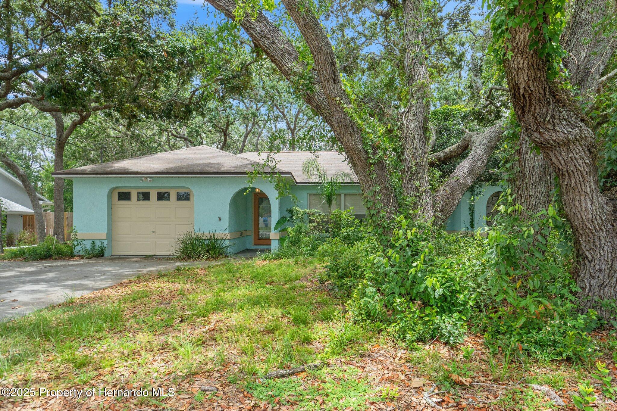2418 Deltona Boulevard, Spring Hill, Florida image 4
