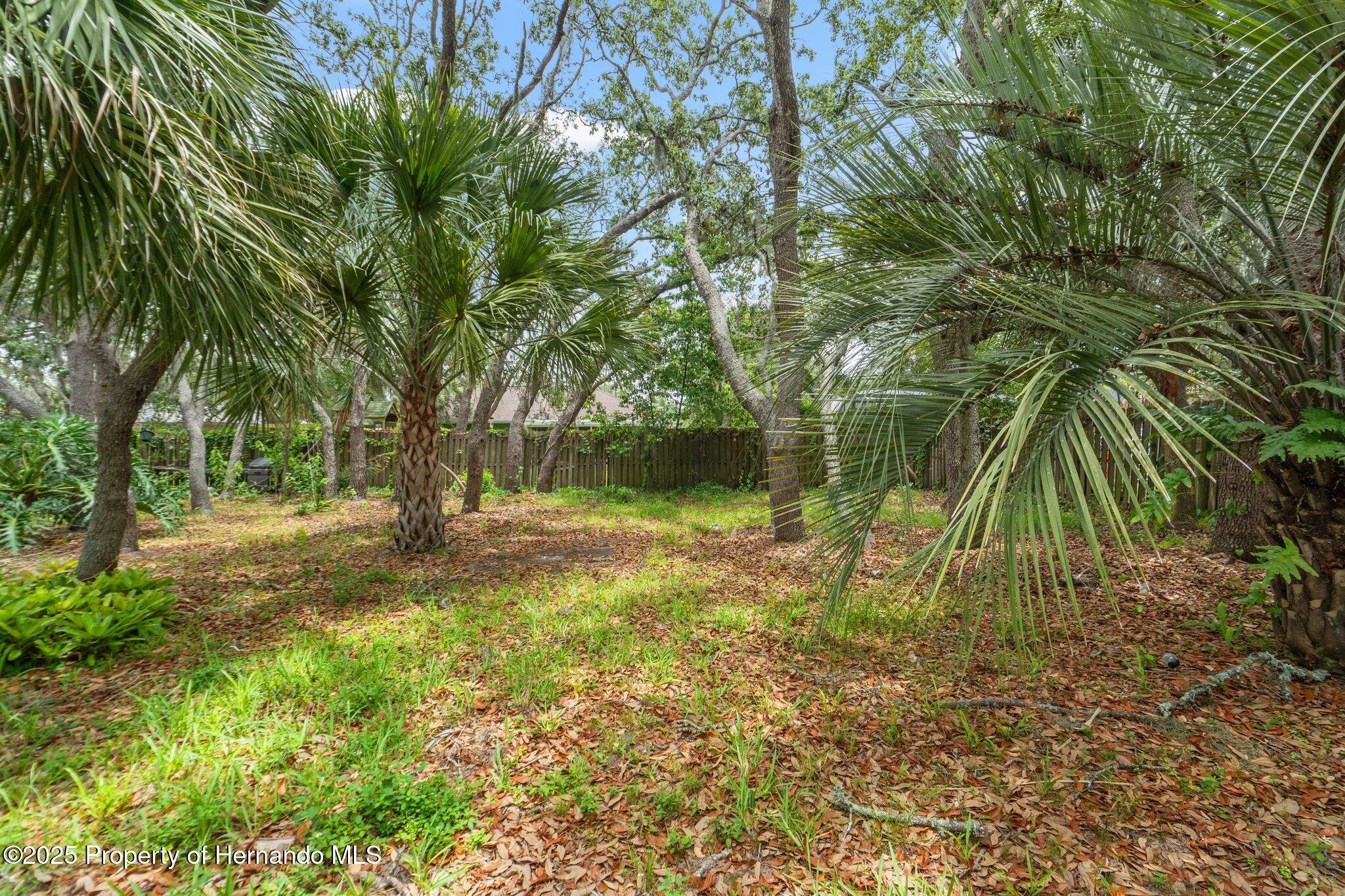 2418 Deltona Boulevard, Spring Hill, Florida image 25