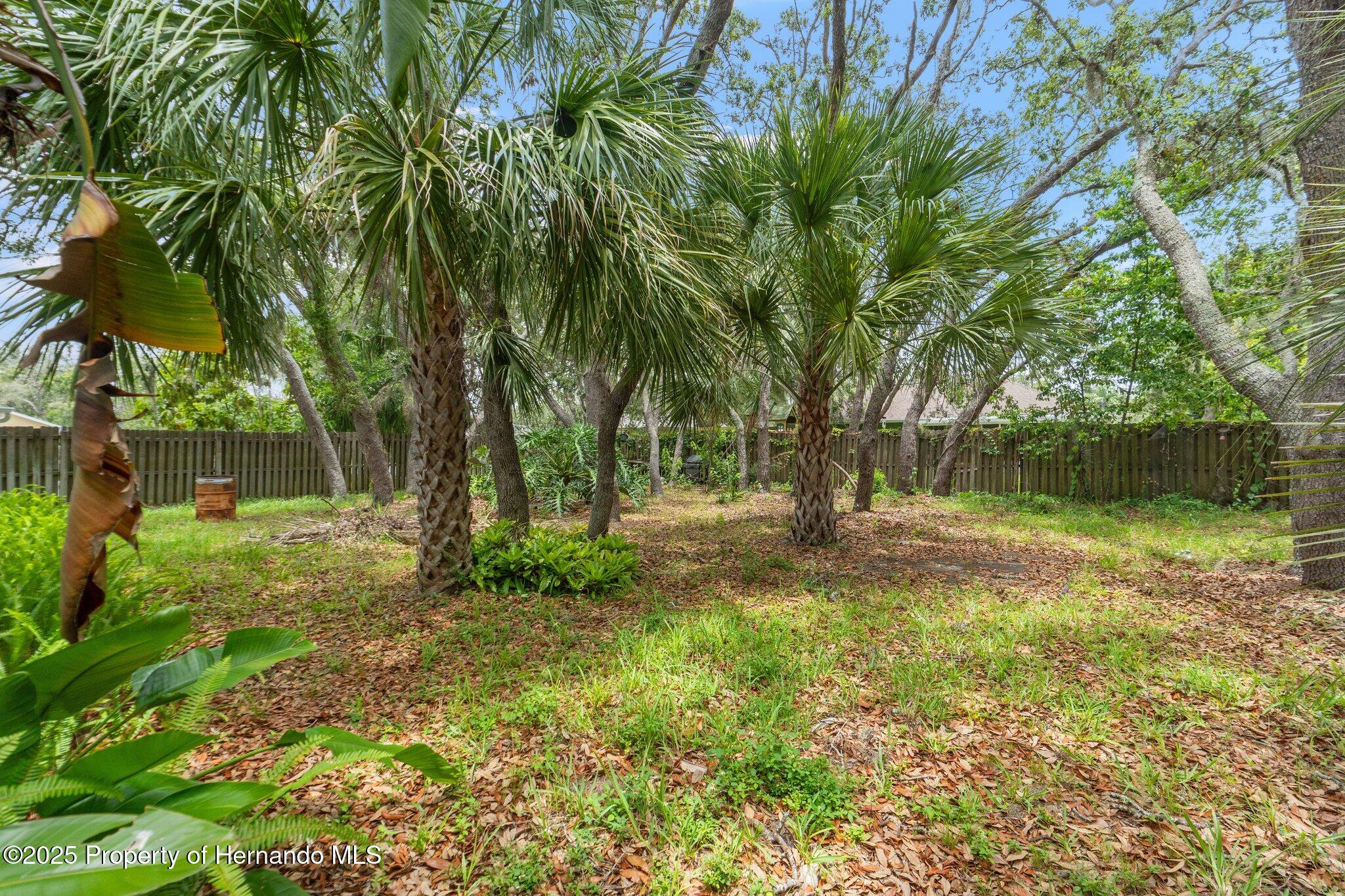 2418 Deltona Boulevard, Spring Hill, Florida image 24