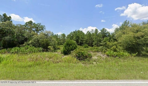Vacant Land For Sale - 10312 Fulton Avenue<br/> Weeki Wachee, FL 34613