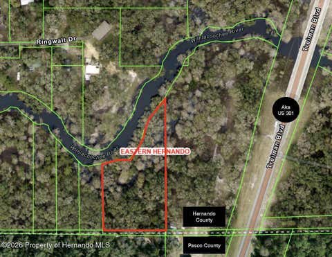 Vacant Land For Sale - Treiman Boulevard<br/> Dade City, FL 33523