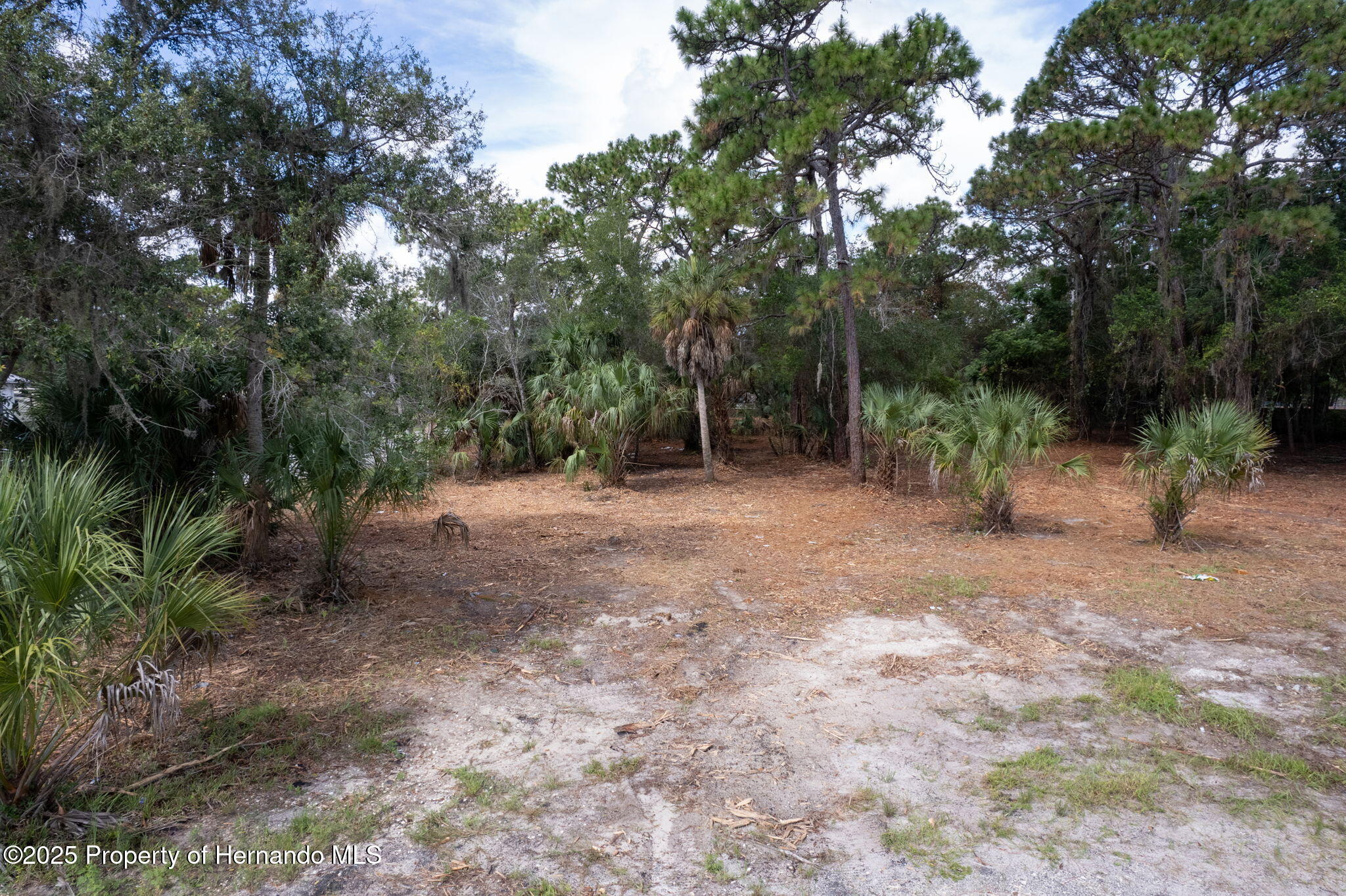 5826 S Suncoast Boulevard, Homosassa, Florida image 11