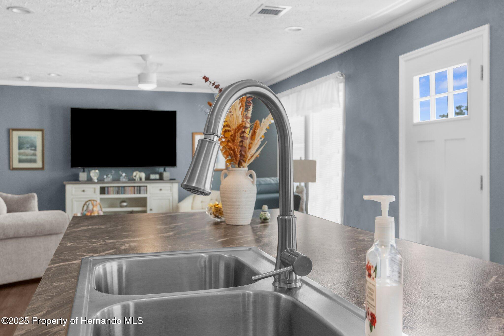15061 Brookridge Boulevard, Brooksville, Florida image 19