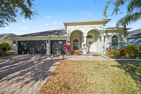 Homes For Sale - 4809 Walnut Ridge Road<br/> Pasco County, LAND O LAKES, FL 34638