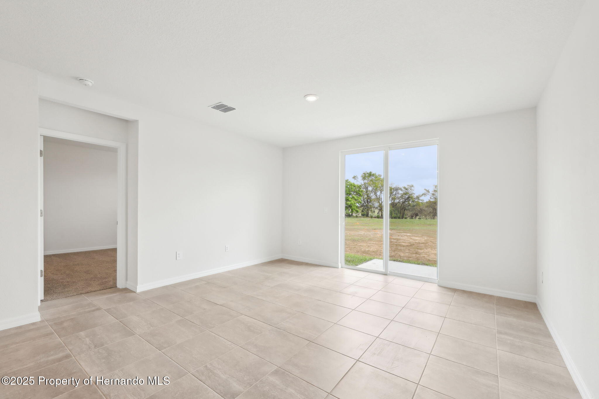 3652 Moscato Drive, Brooksville, Florida image 13