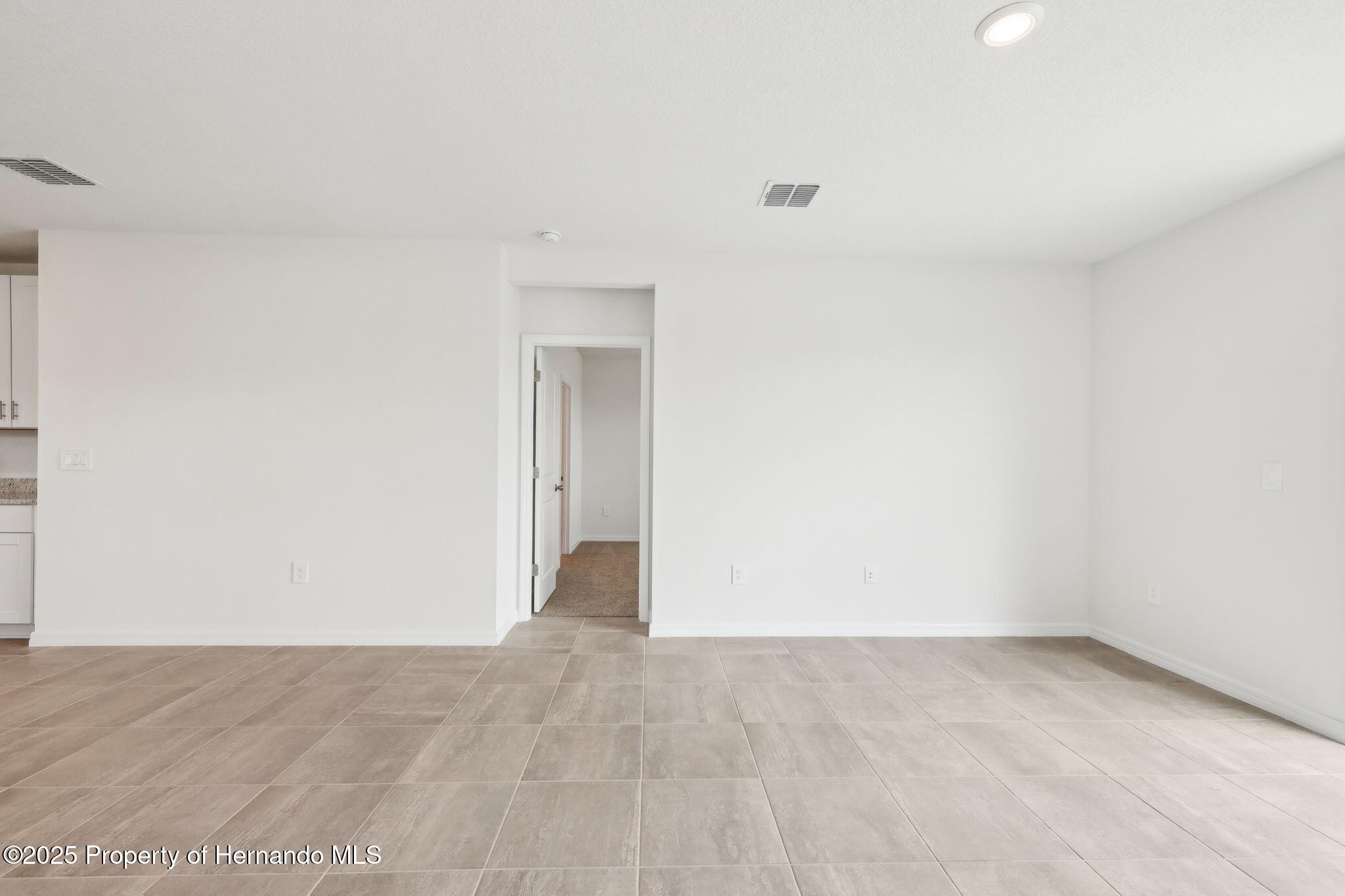 3652 Moscato Drive, Brooksville, Florida image 10