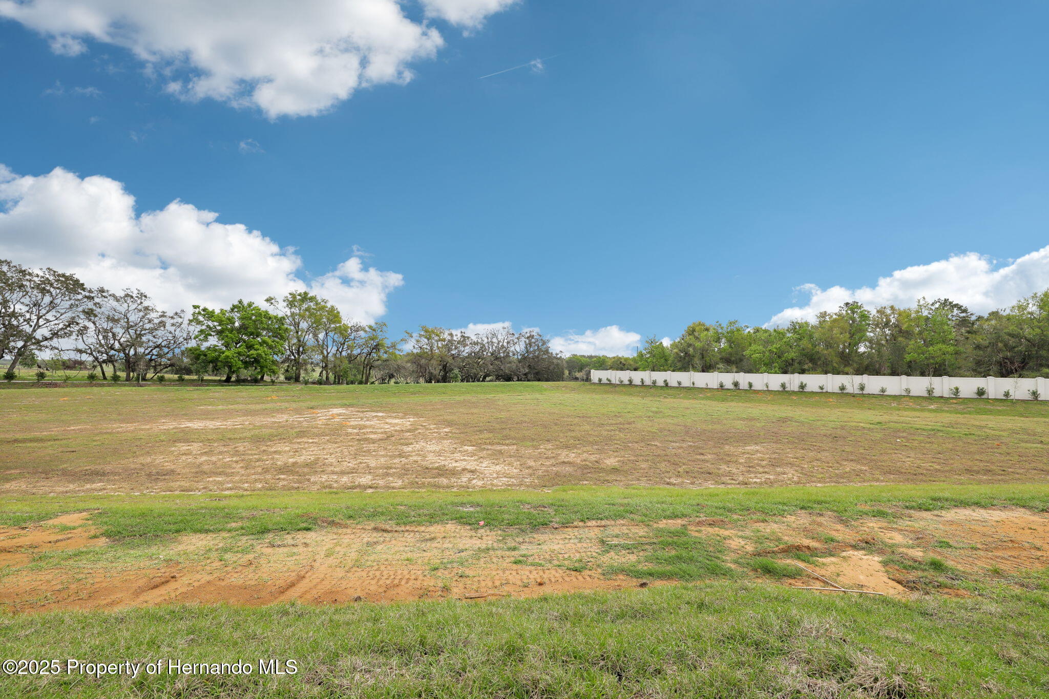 3652 Moscato Drive, Brooksville, Florida image 45