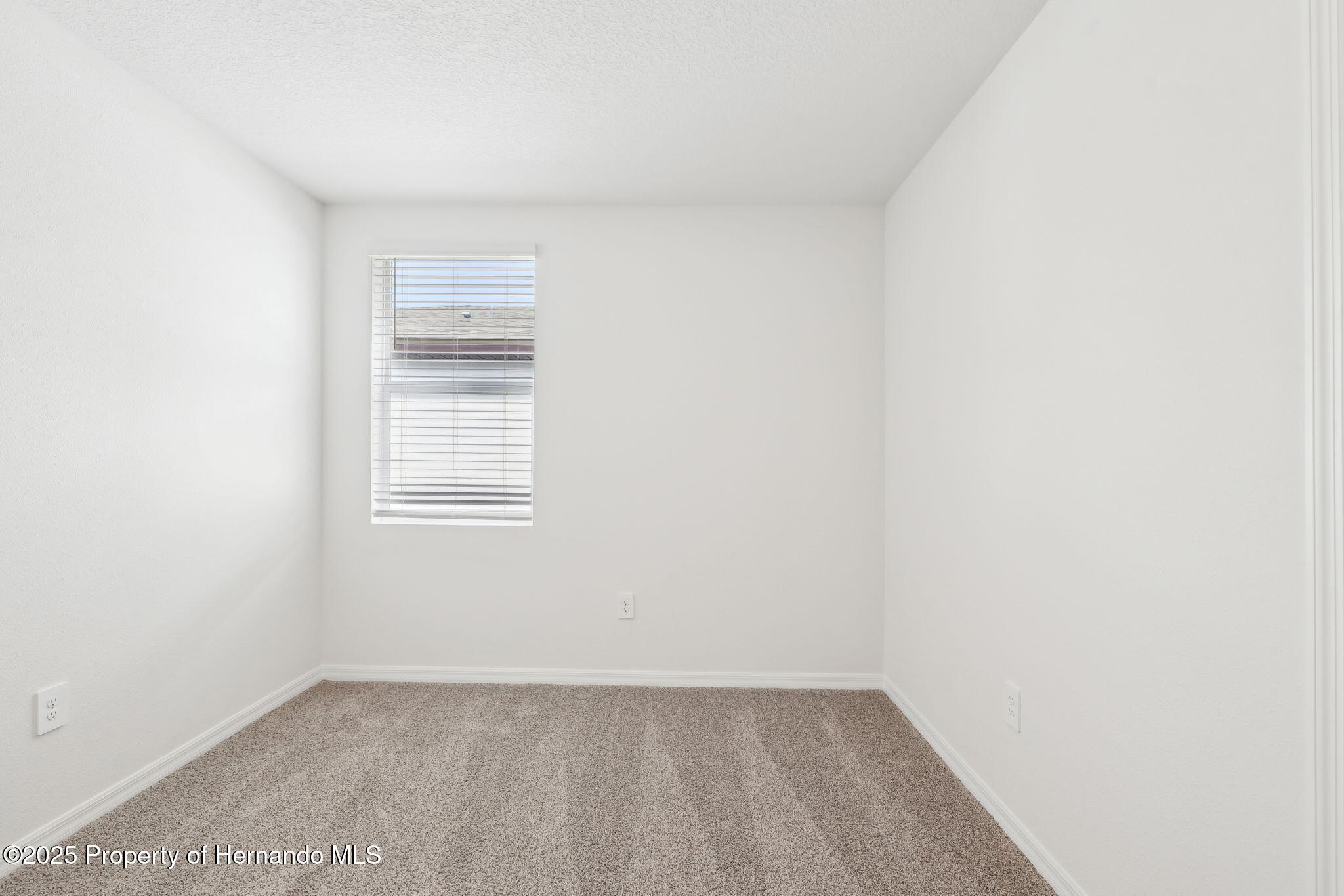 3652 Moscato Drive, Brooksville, Florida image 29