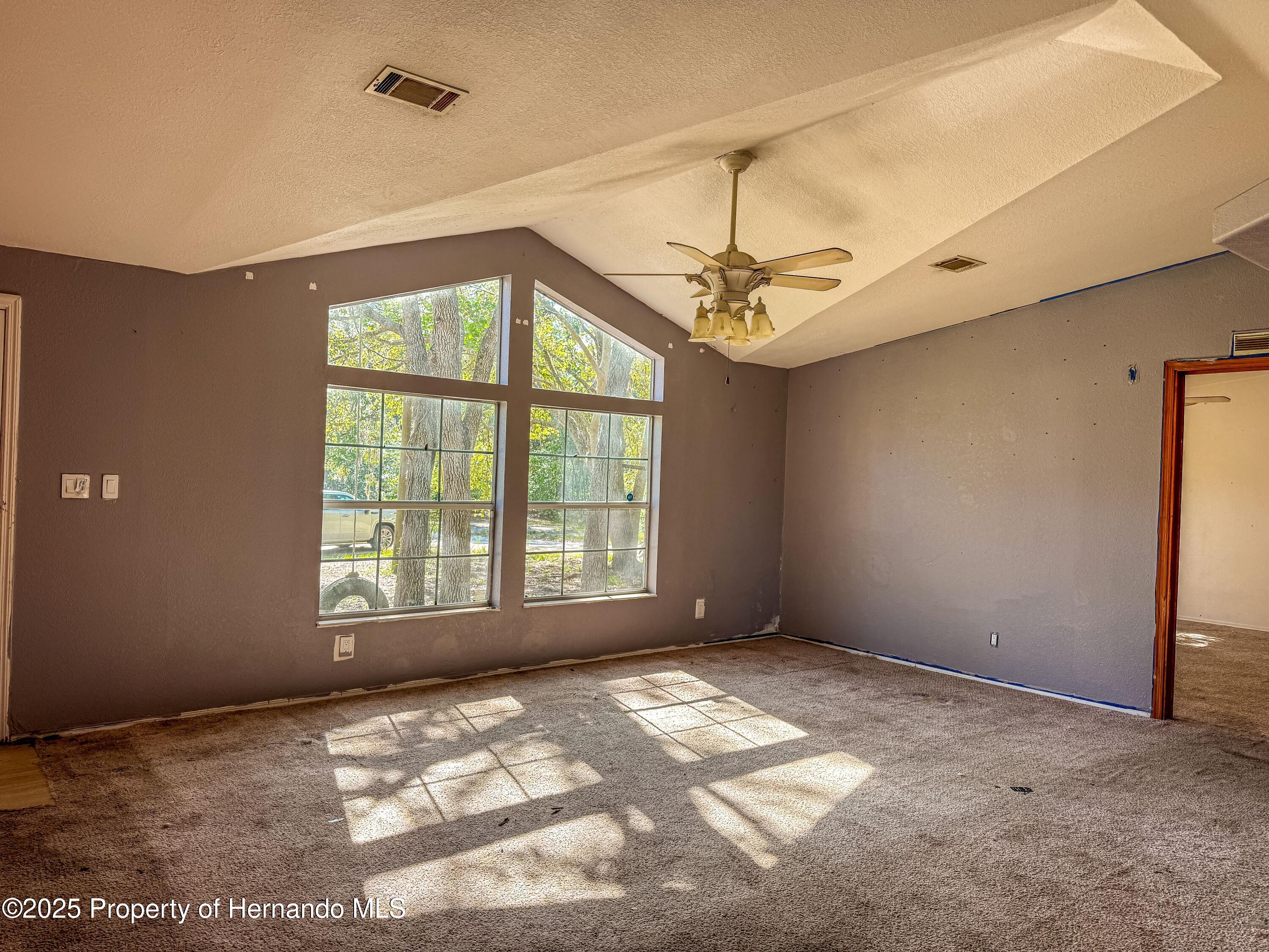 3231 Burwell Road, Webster, Florida image 16