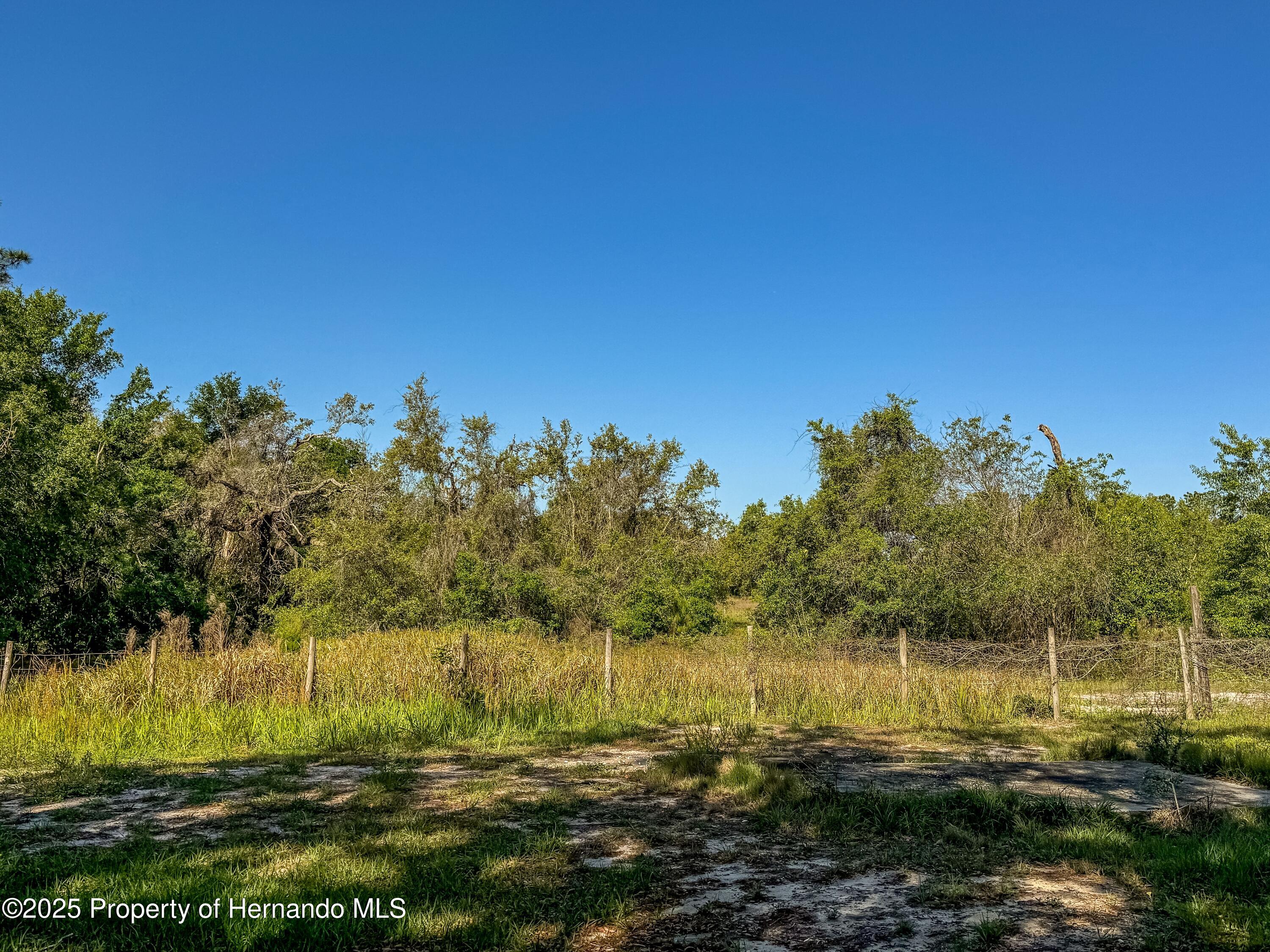 3231 Burwell Road, Webster, Florida image 26