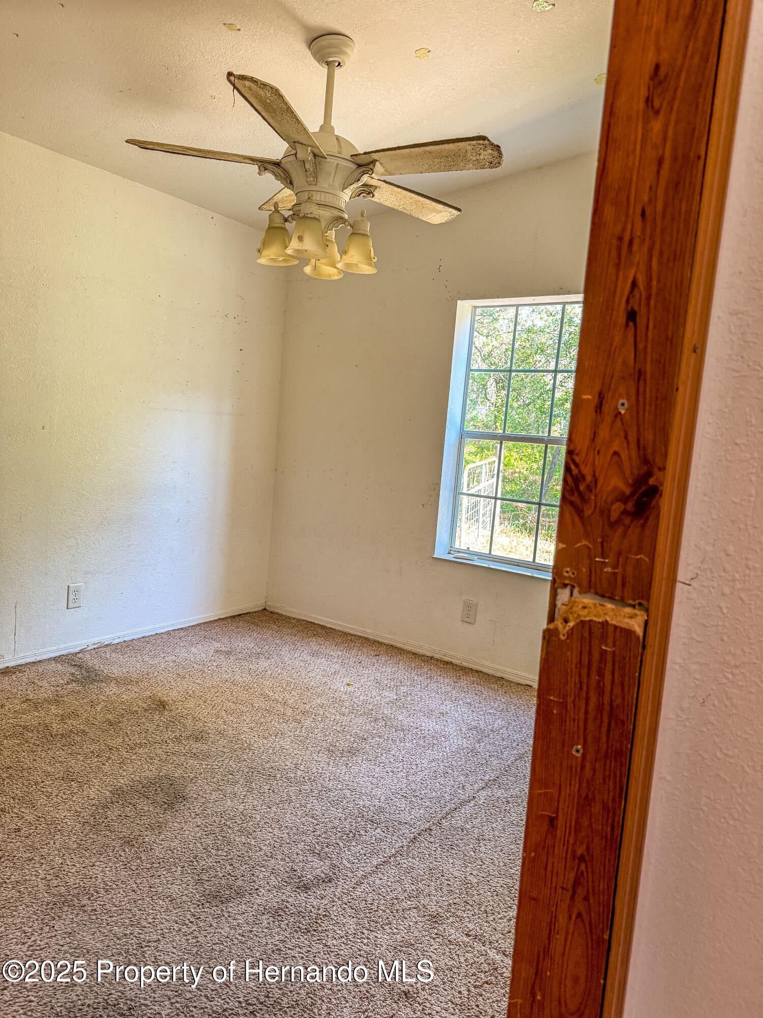 3231 Burwell Road, Webster, Florida image 14