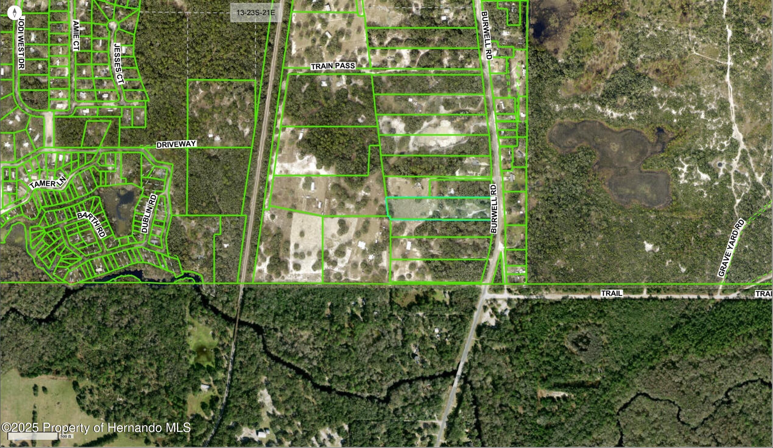 3231 Burwell Road, Webster, Florida image 3