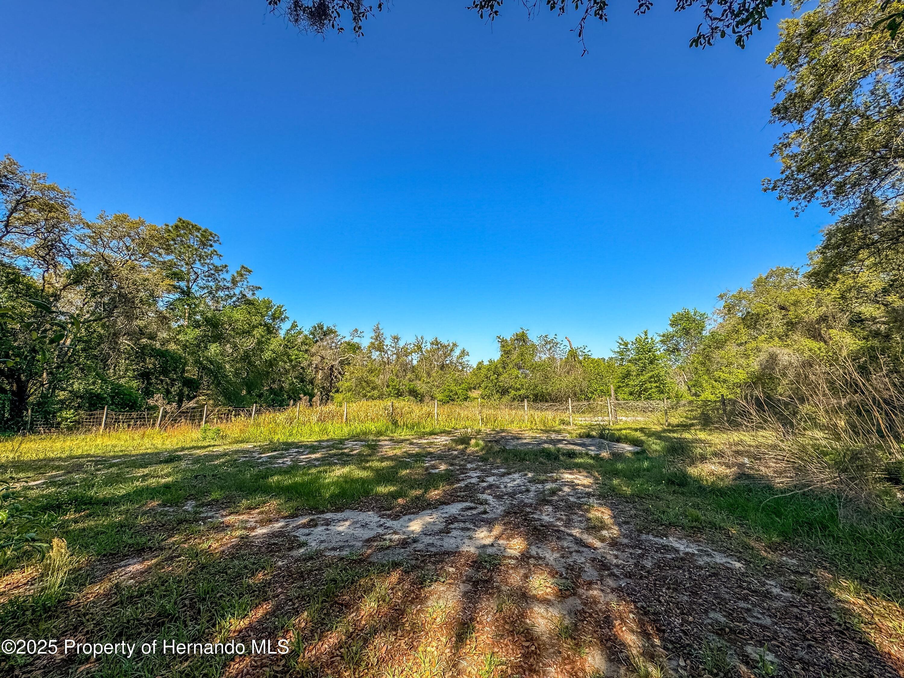 3231 Burwell Road, Webster, Florida image 27