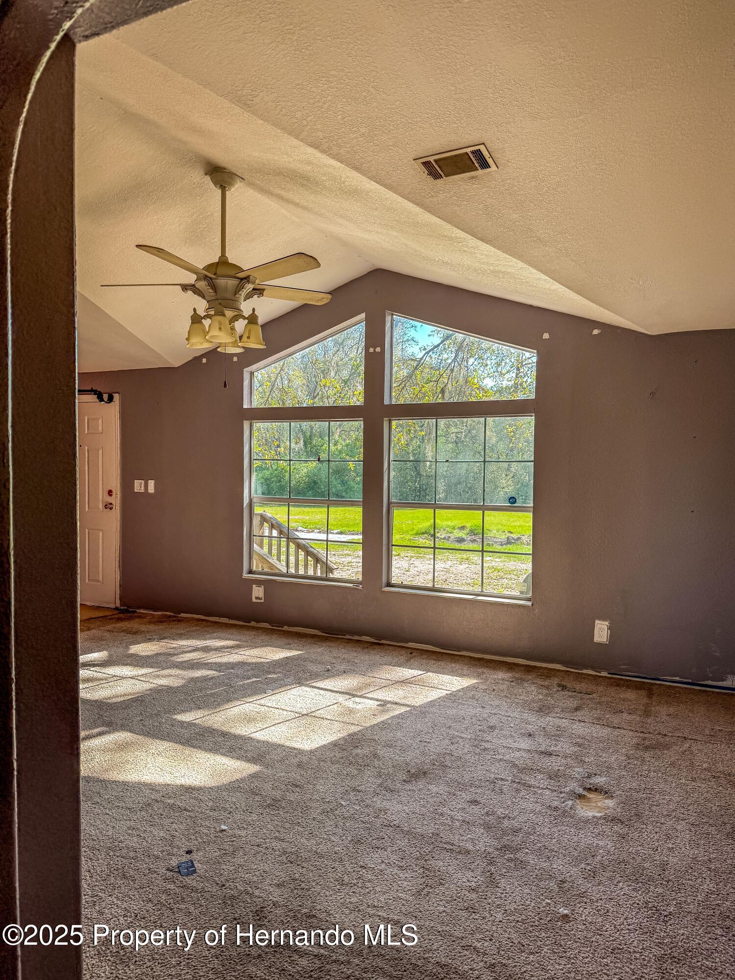 3231 Burwell Road, Webster, Florida image 10