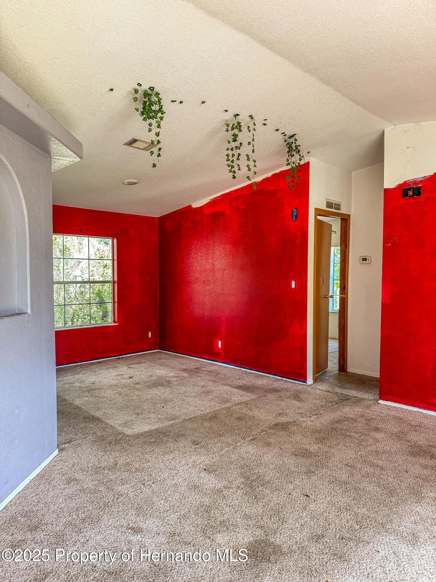 3231 Burwell Road, Webster, Florida image 11