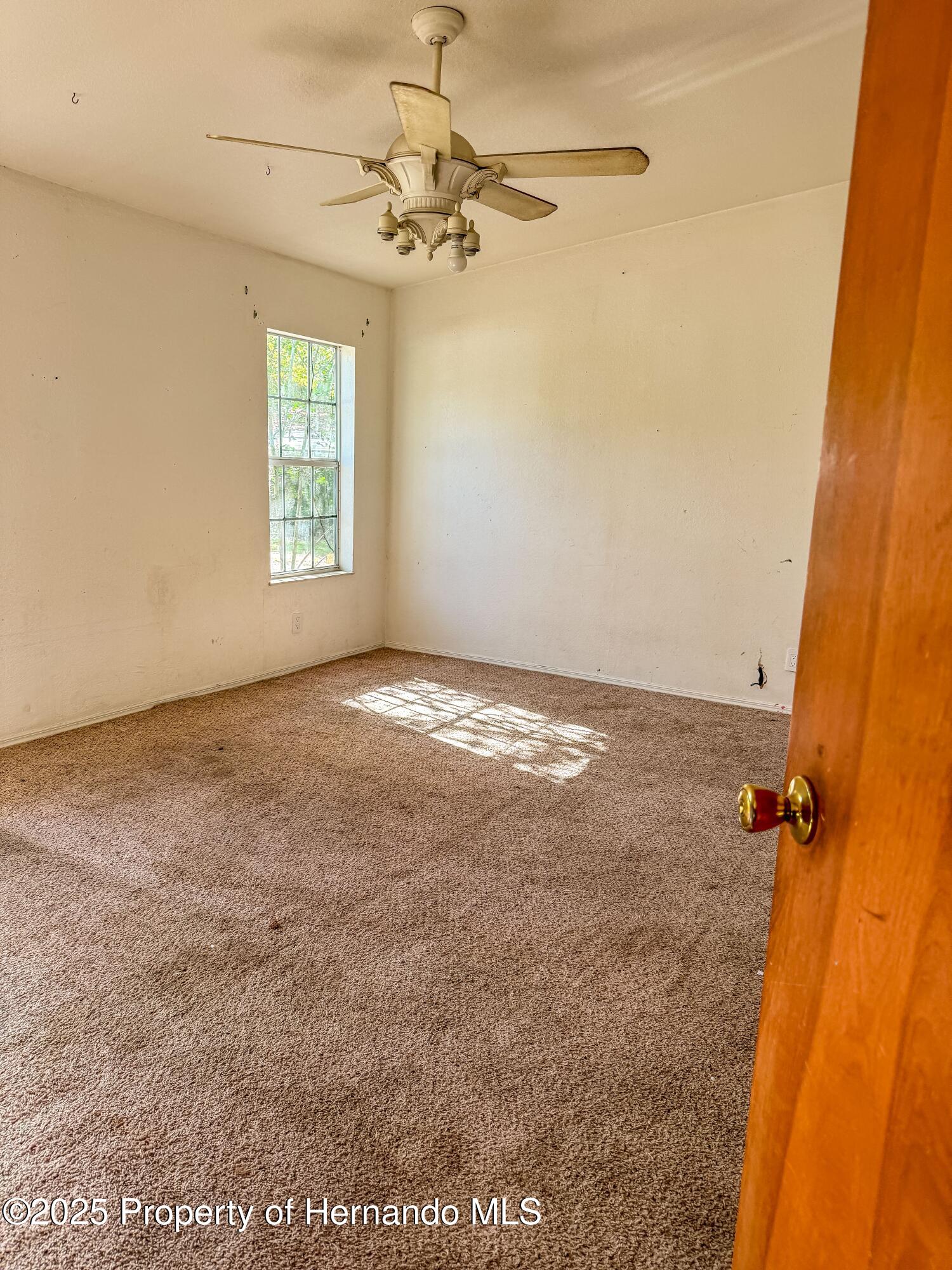 3231 Burwell Road, Webster, Florida image 19