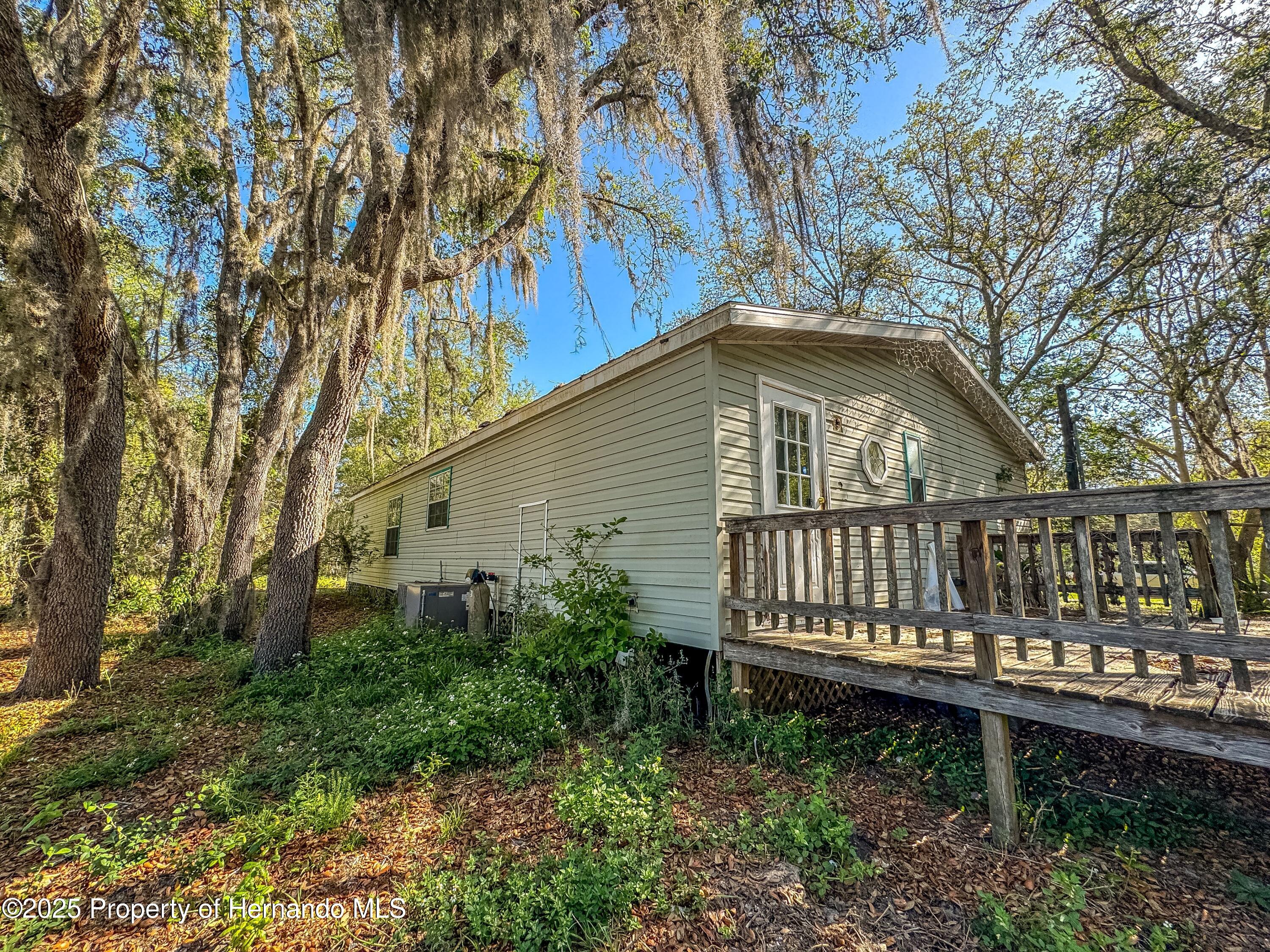 3231 Burwell Road, Webster, Florida image 25