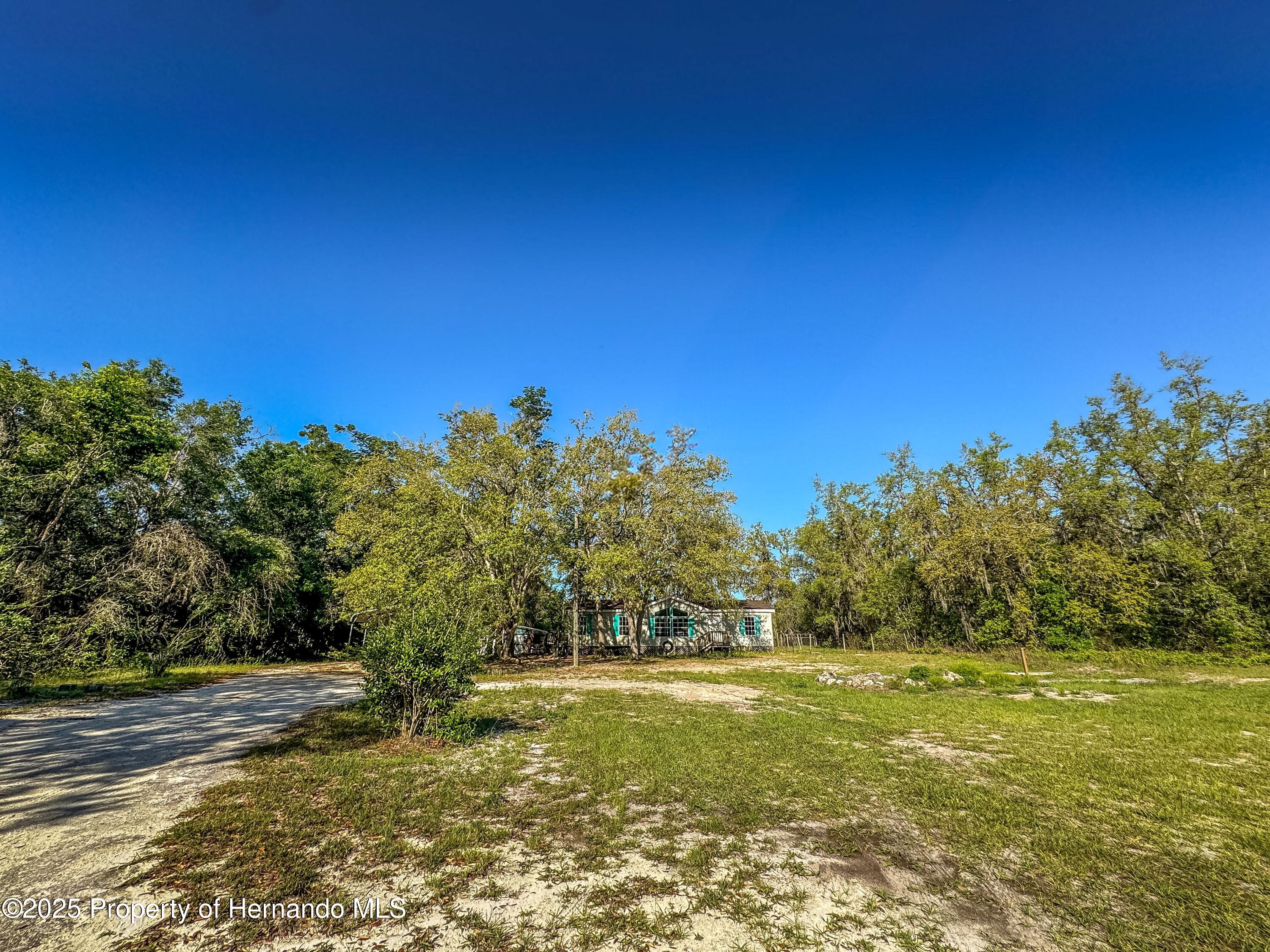 3231 Burwell Road, Webster, Florida image 7
