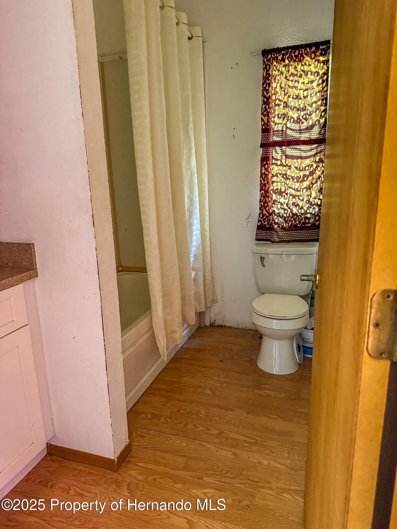 3231 Burwell Road, Webster, Florida image 13
