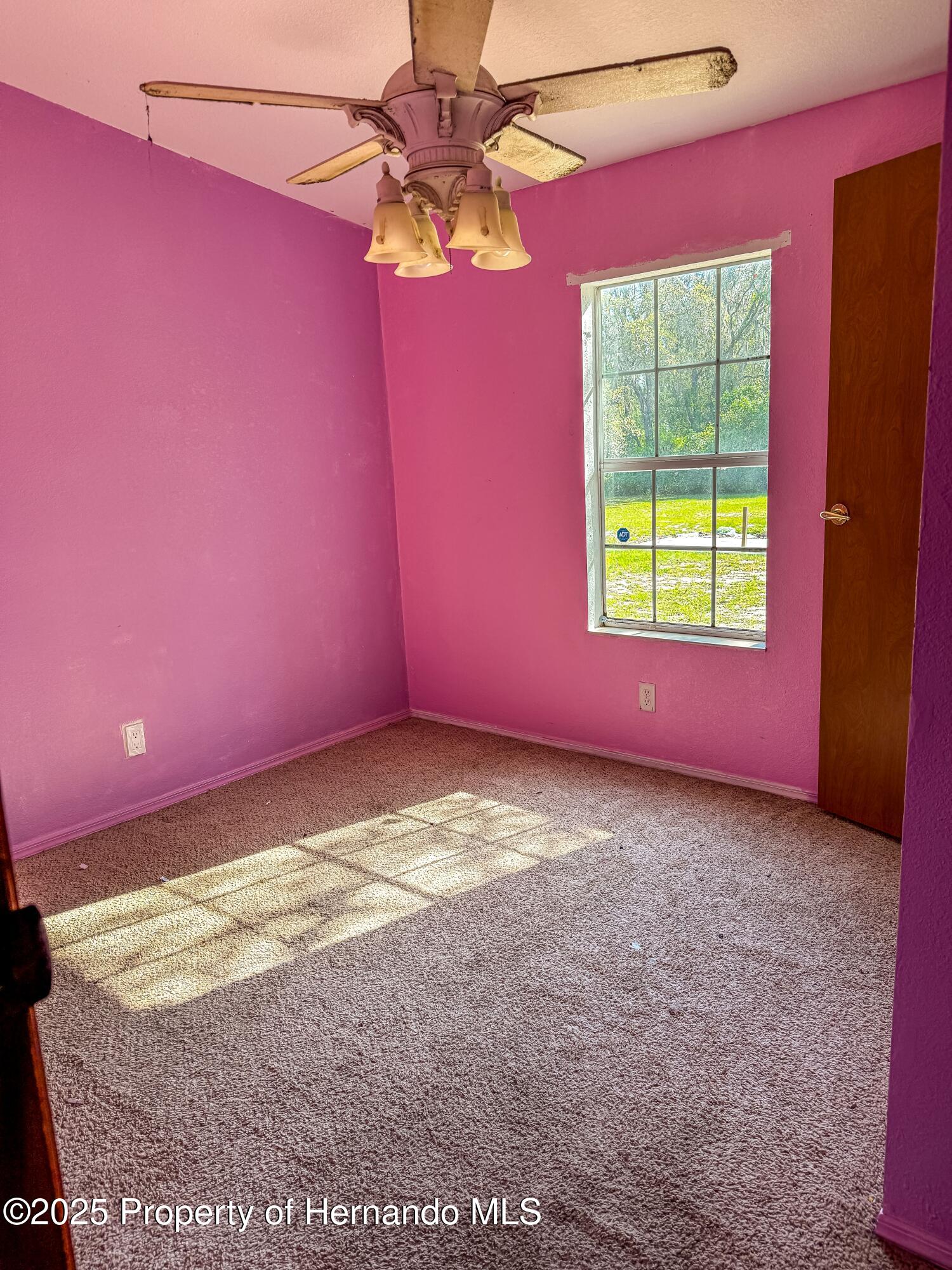 3231 Burwell Road, Webster, Florida image 12