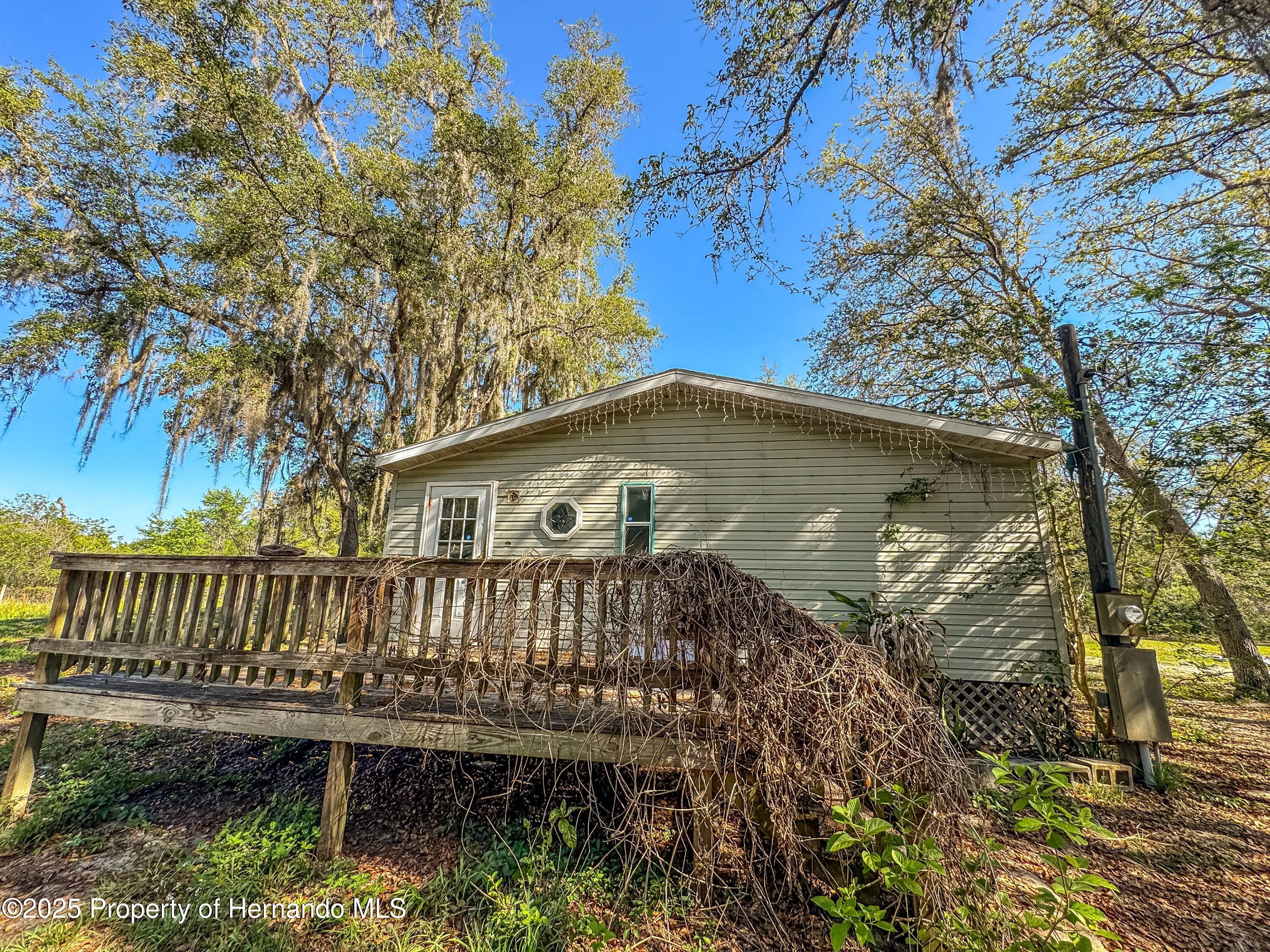 3231 Burwell Road, Webster, Florida image 24