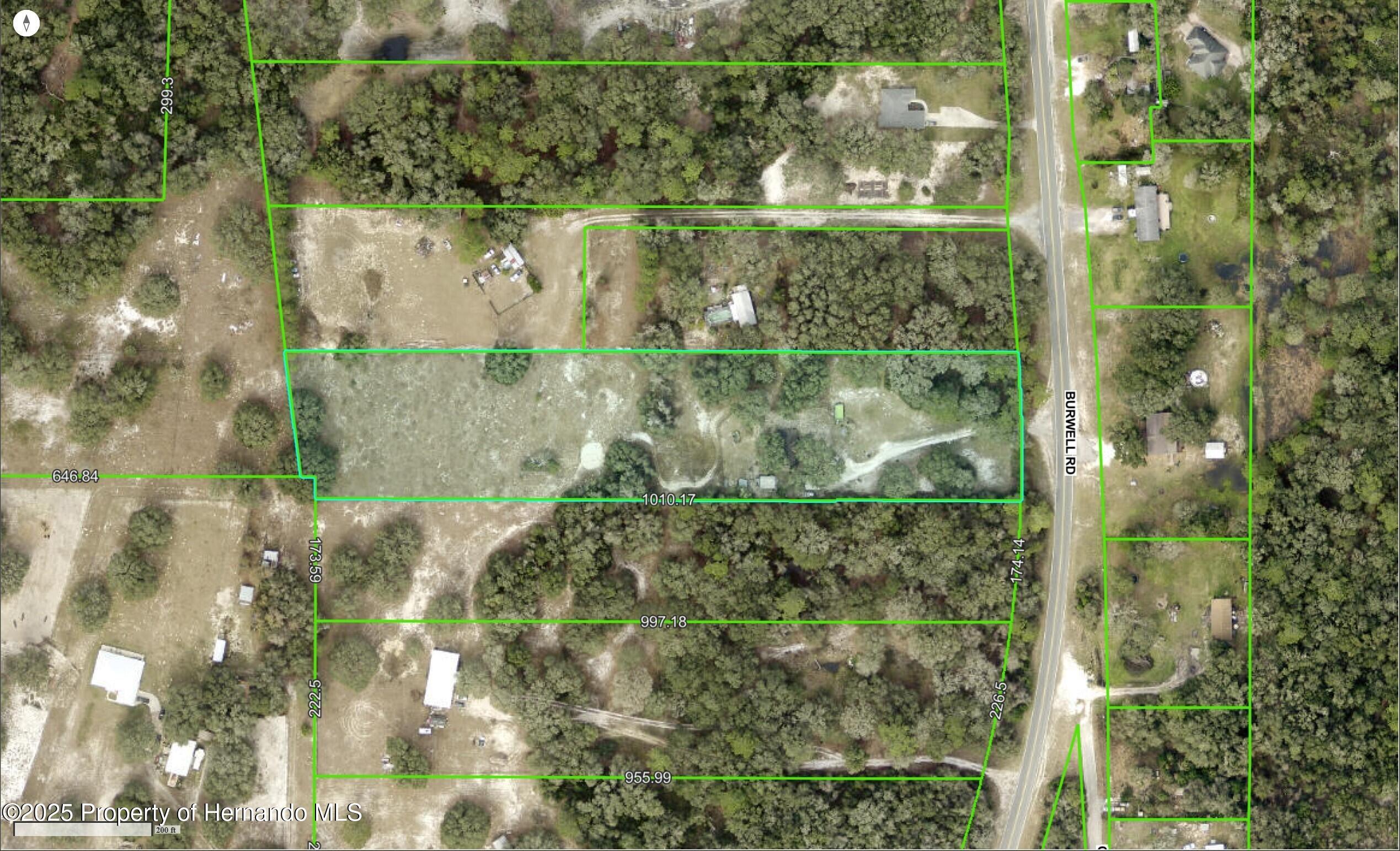 3231 Burwell Road, Webster, Florida image 5