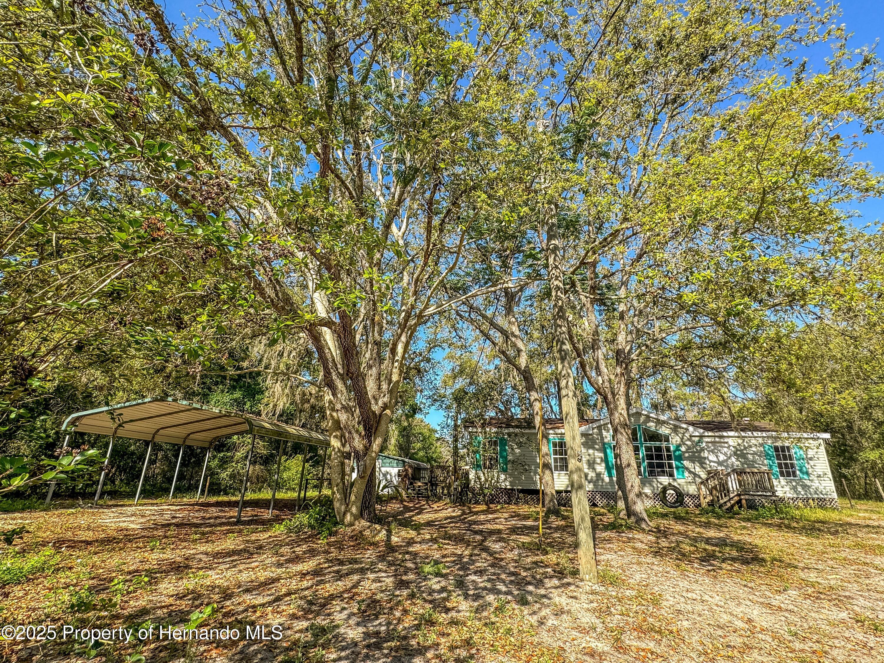 3231 Burwell Road, Webster, Florida image 8