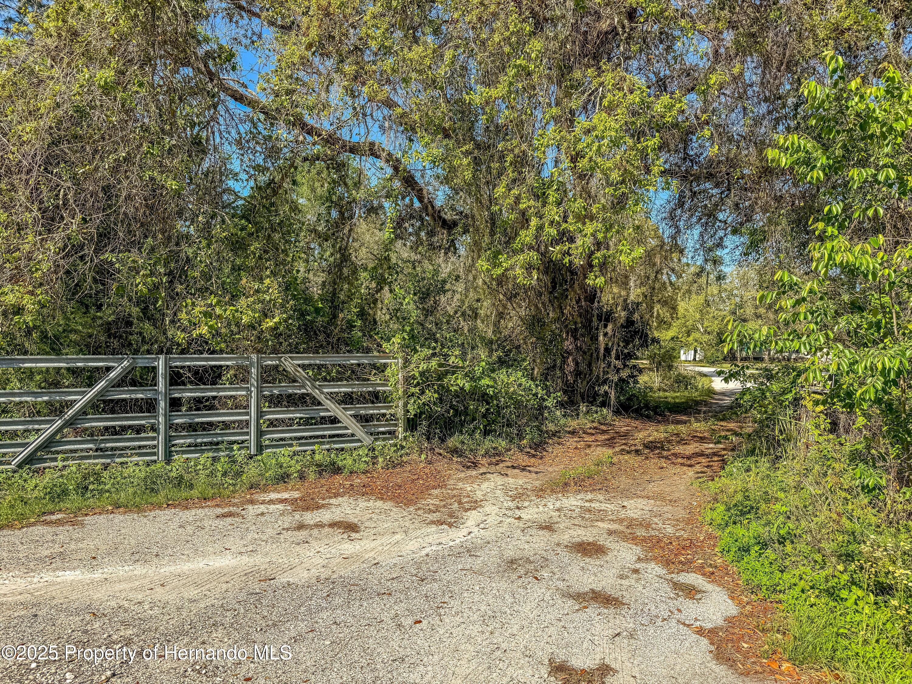 3231 Burwell Road, Webster, Florida image 32