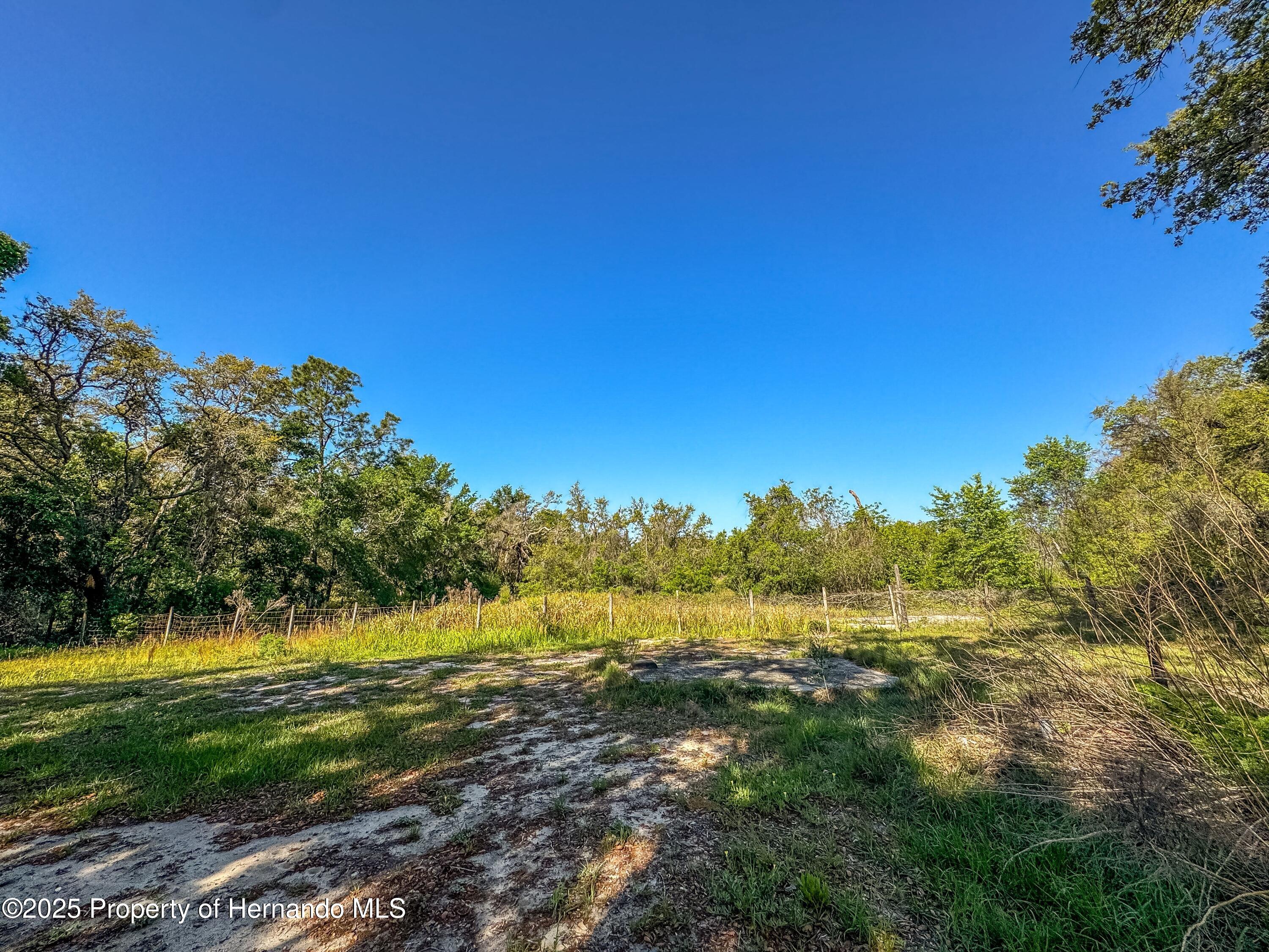 3231 Burwell Road, Webster, Florida image 28